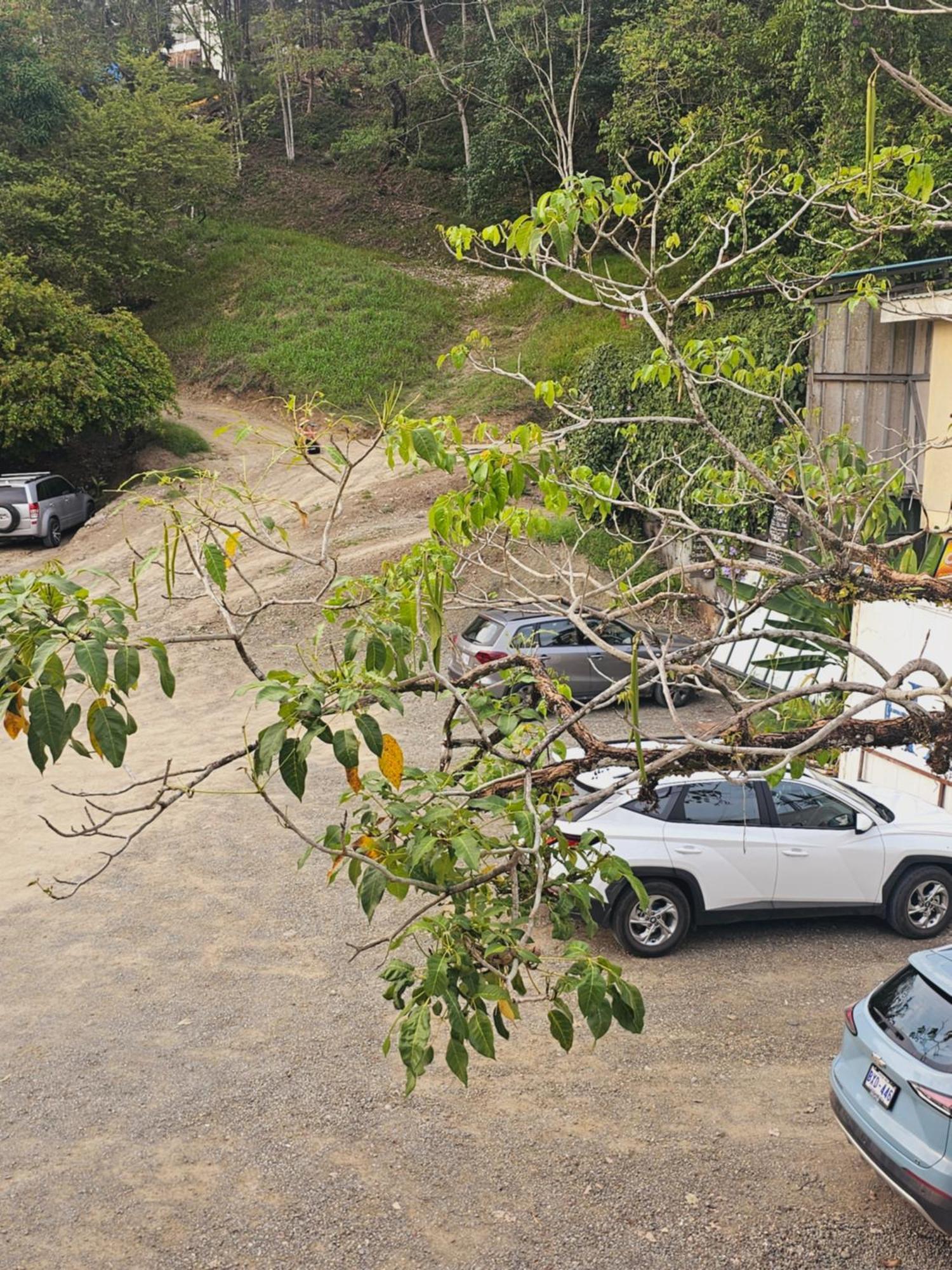 Pura Vida Apartments Quepos Phòng bức ảnh