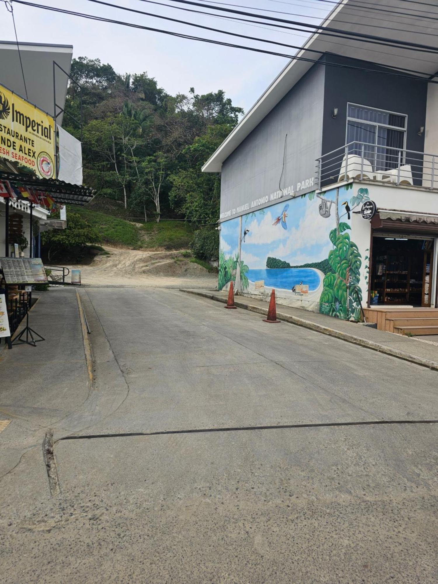 Pura Vida Apartments Quepos Phòng bức ảnh